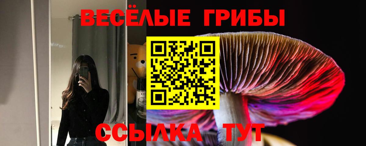 Кандалакша  Галлюциногенные грибы мухоморы  Вход с VPN  Галлюциногенные грибы прущие грибы 